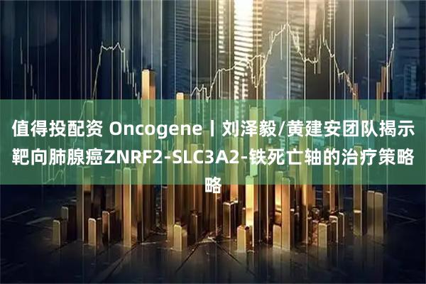 值得投配资 Oncogene丨刘泽毅/黄建安团队揭示靶向肺腺癌ZNRF2-SLC3A2-铁死亡轴的治疗策略